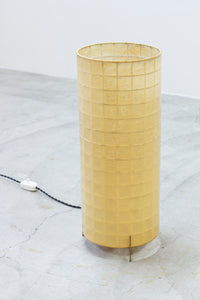 Danish 1950s floor lamp with cocoon plastic