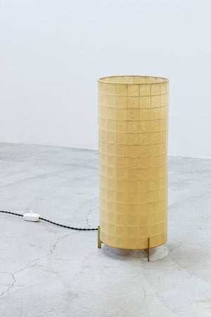 Danish 1950s floor lamp with cocoon plastic