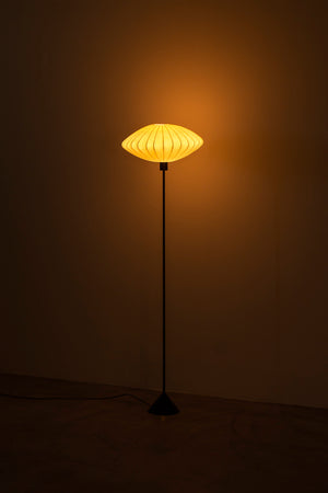 Floor lamp by hans-Agne Jakobsson